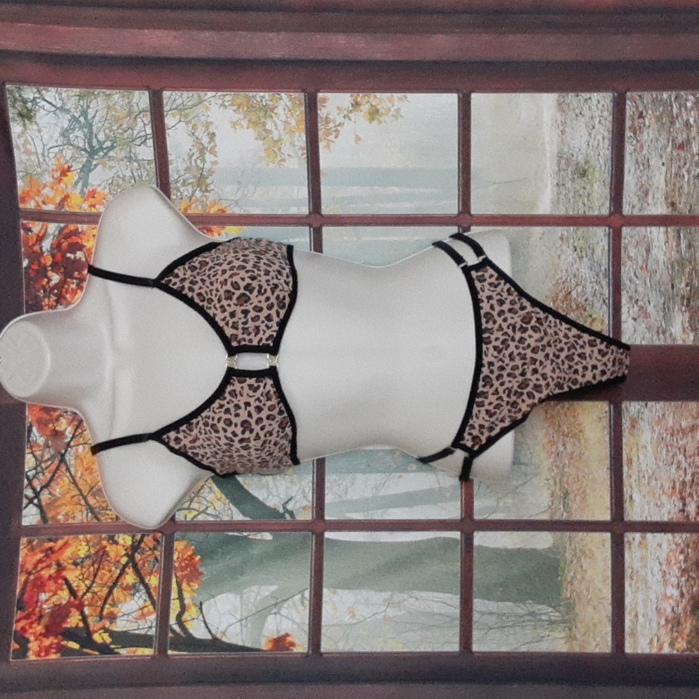 Womens Leopard Bra & Panties Set Size L NWOT